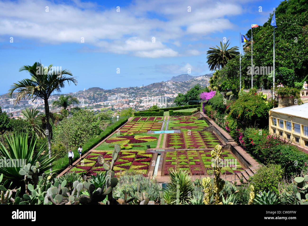 Portugal - Maderira island - hillside above Funchal - the Botanical gardens - exotic and colourful - superb views down to sea Stock Photo