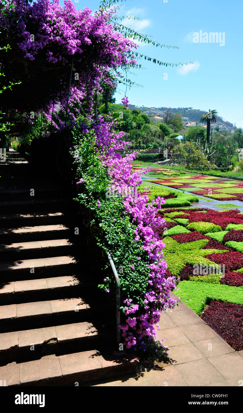 Portugal - Madeira - hillside above Funchal town - exotic stunning Botanical Gdns - walkway above a multicolour plant display Stock Photo