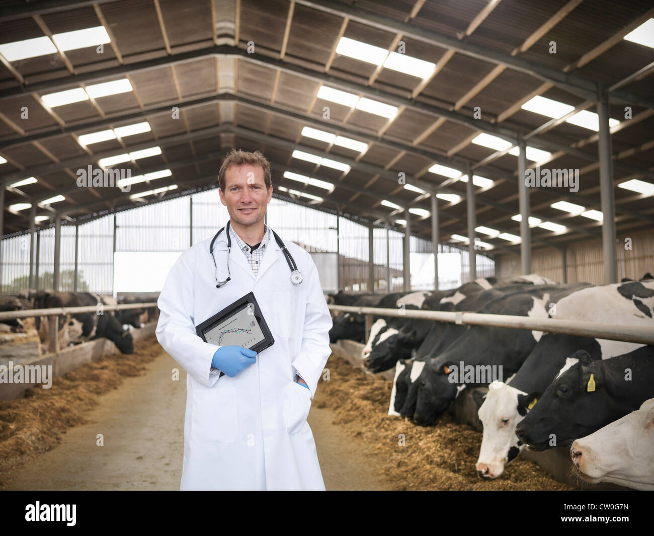 Veterinarian with tablet computer Stock Photo