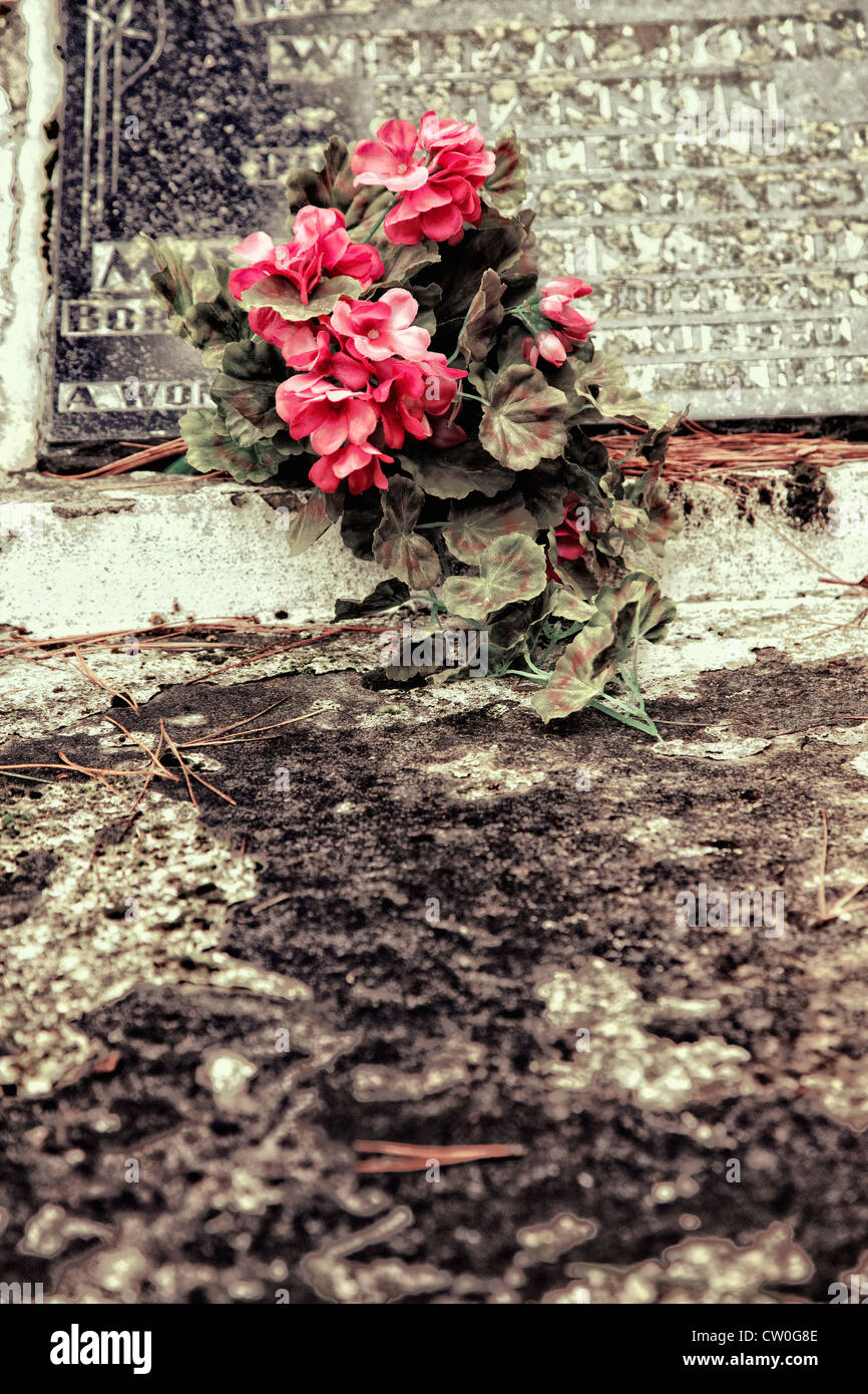 Grave and flowers hires stock photography and images Alamy