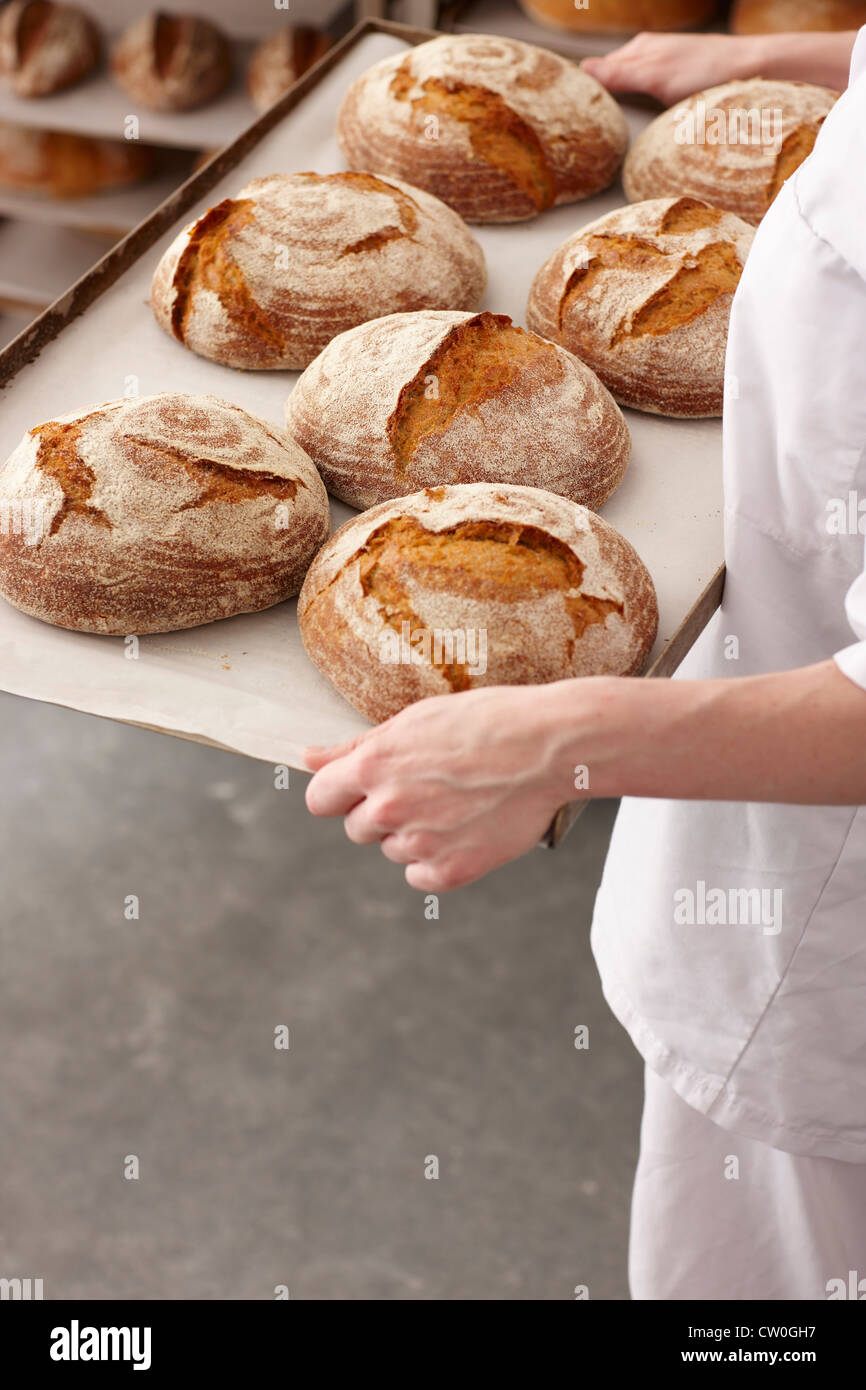 Chef carrying tray of bread in kitchen Stock Photo
