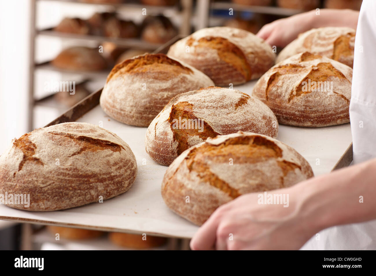 Chef carrying tray of bread in kitchen Stock Photo