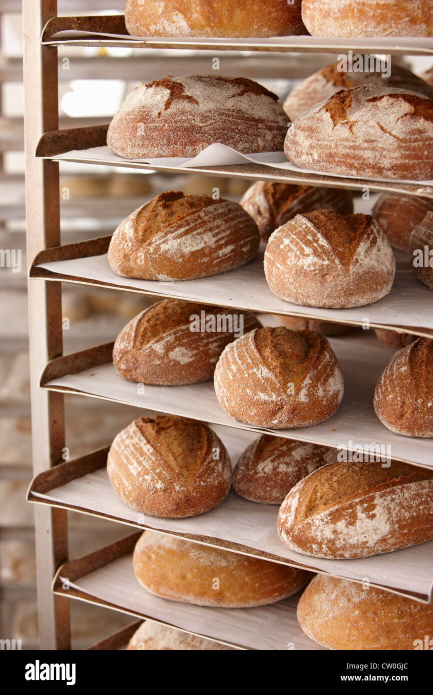 Trays of bread on rack in kitchen Stock Photo