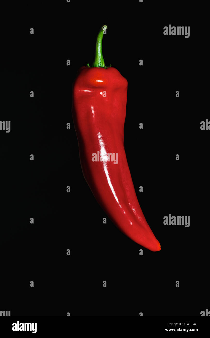 Red chilli pepper hires stock photography and images Alamy