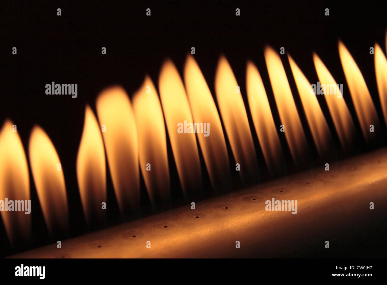 Methane gas burning bright yellow/orange in a line of single flames through the nozzles (of a