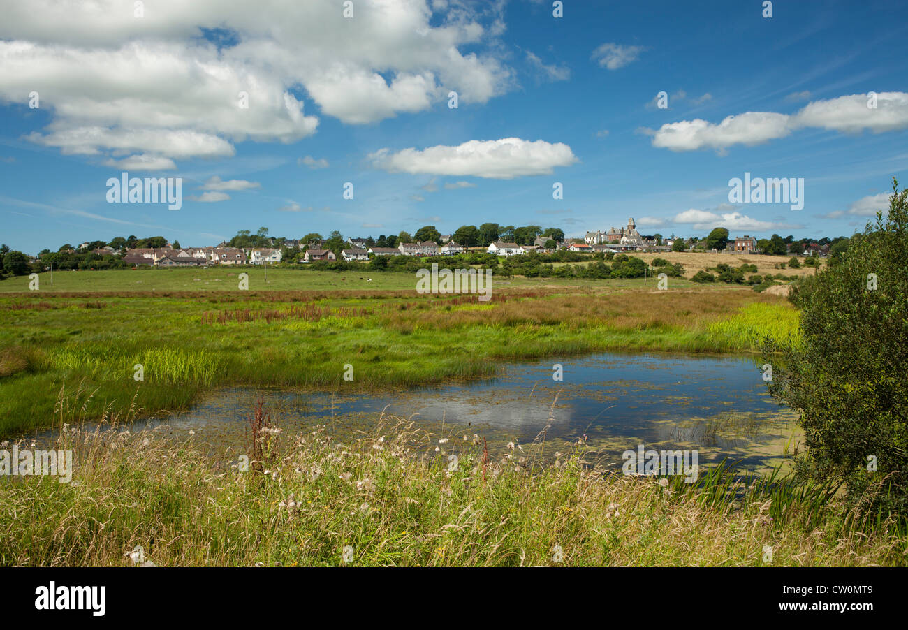 Look from bird hide at Wigtown Harbour across wetlands to Wigtown, Wigtown Bay Local Nature Reserve Galloway, Scotland, UK Stock Photo
