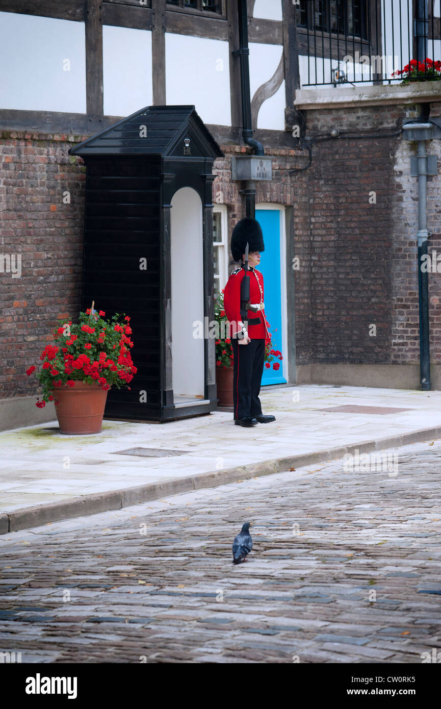 A Scots Guard in traditional uniform standing outside his sentry box guarding Queen's House at The Tower of London. UK Stock Photo