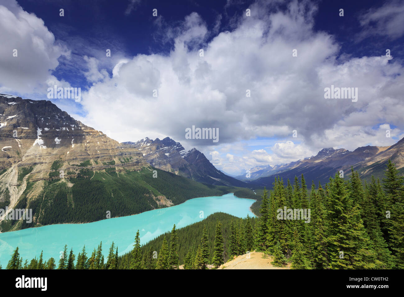 View of Peyto Lake in Banff National Park in Canadian Rockies Stock ...