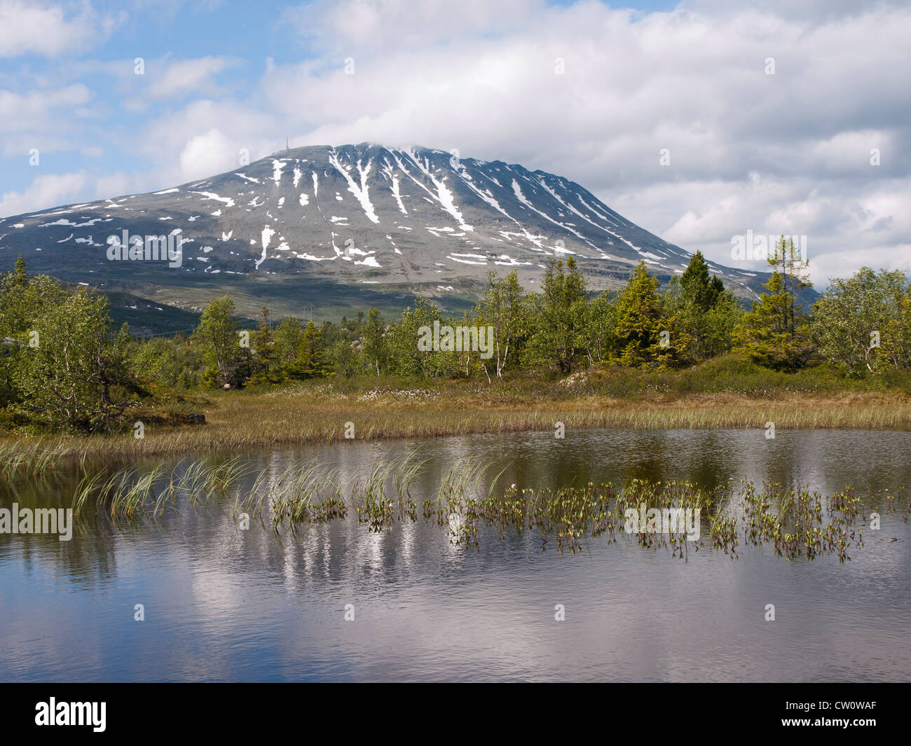 Gaustatoppen mountain in southern Norway seen from below Stock Photo