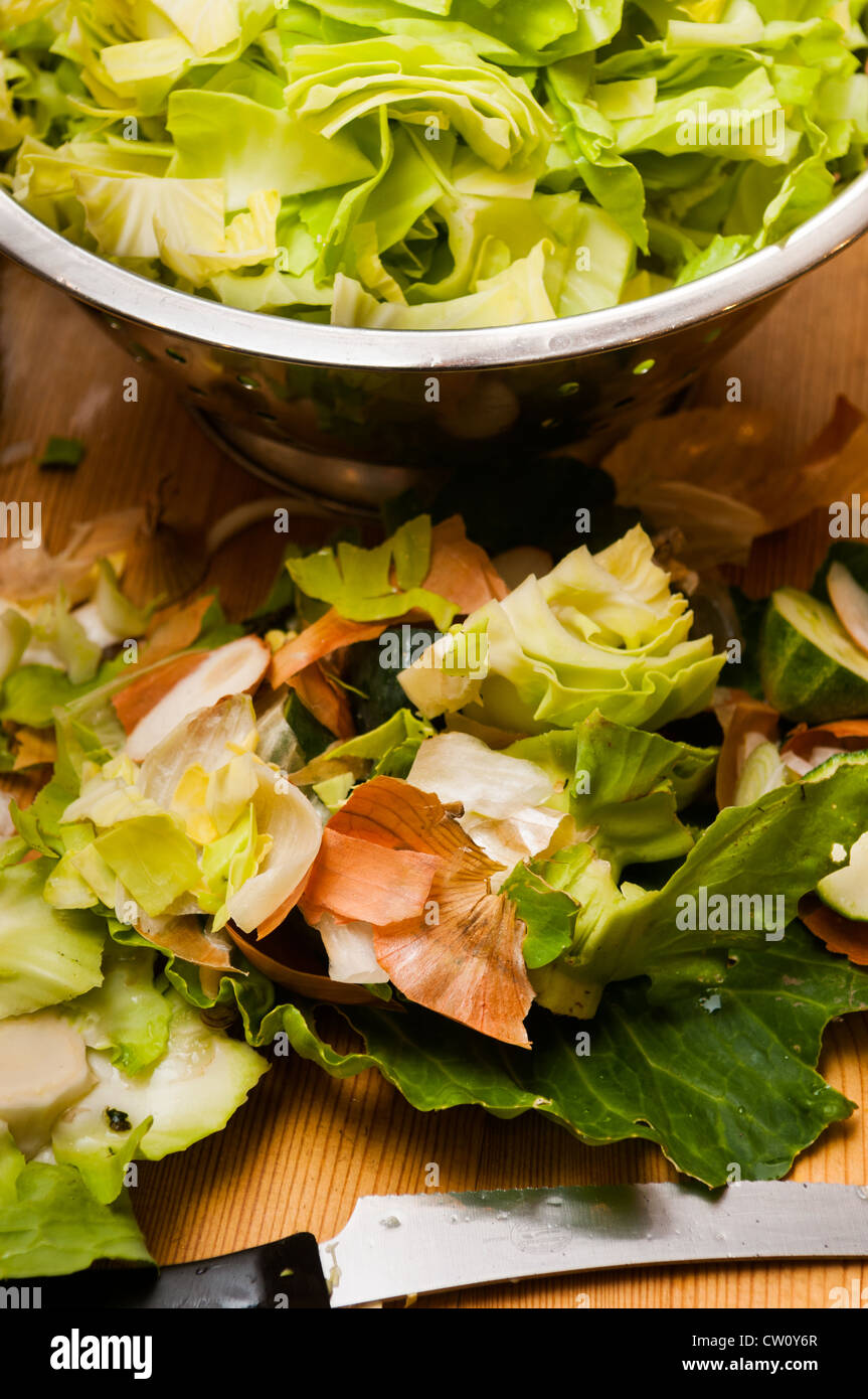 Cabbage stalk hires stock photography and images Alamy