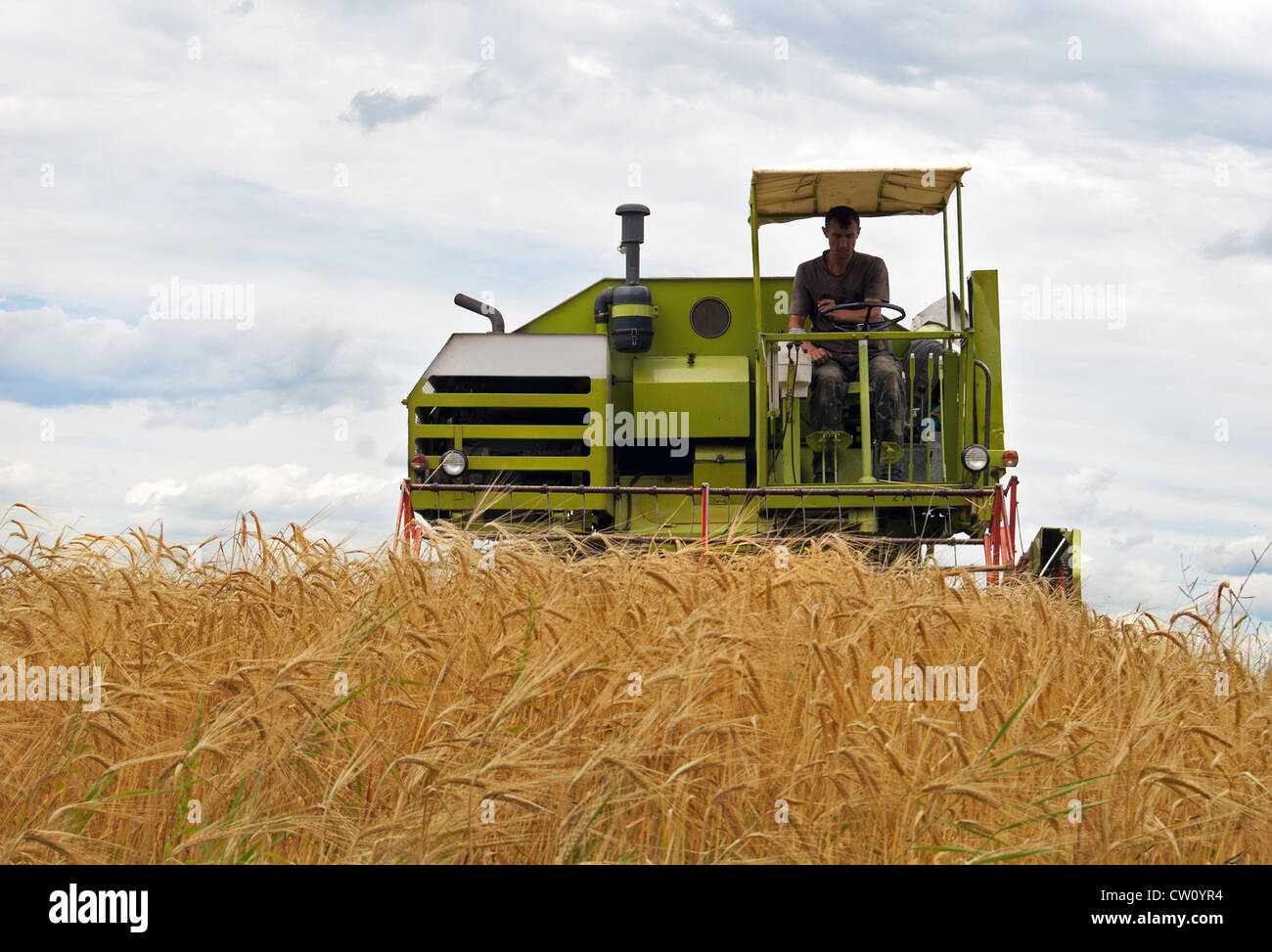 combine harvesting a wheat field Stock Photo