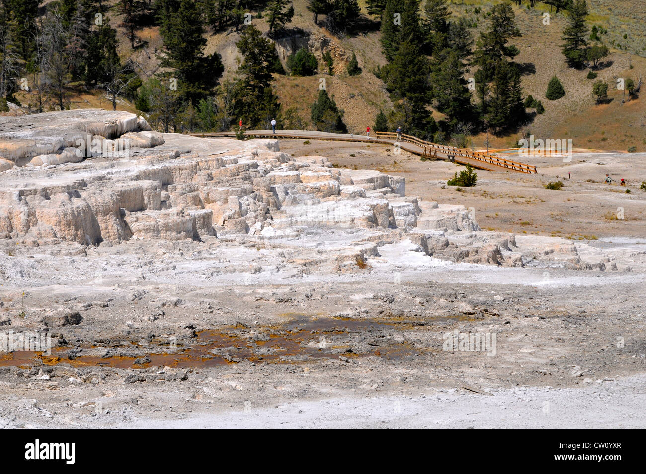 Minerva Terrace Mammoth Hot Springs Yellowstone National Park Wyoming, WY Stock Photo