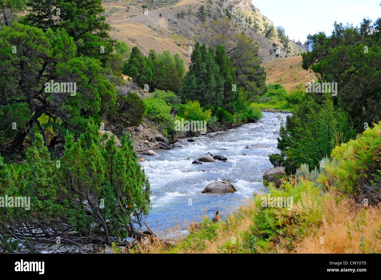Yellowstone River Wyoming US Stock Photo