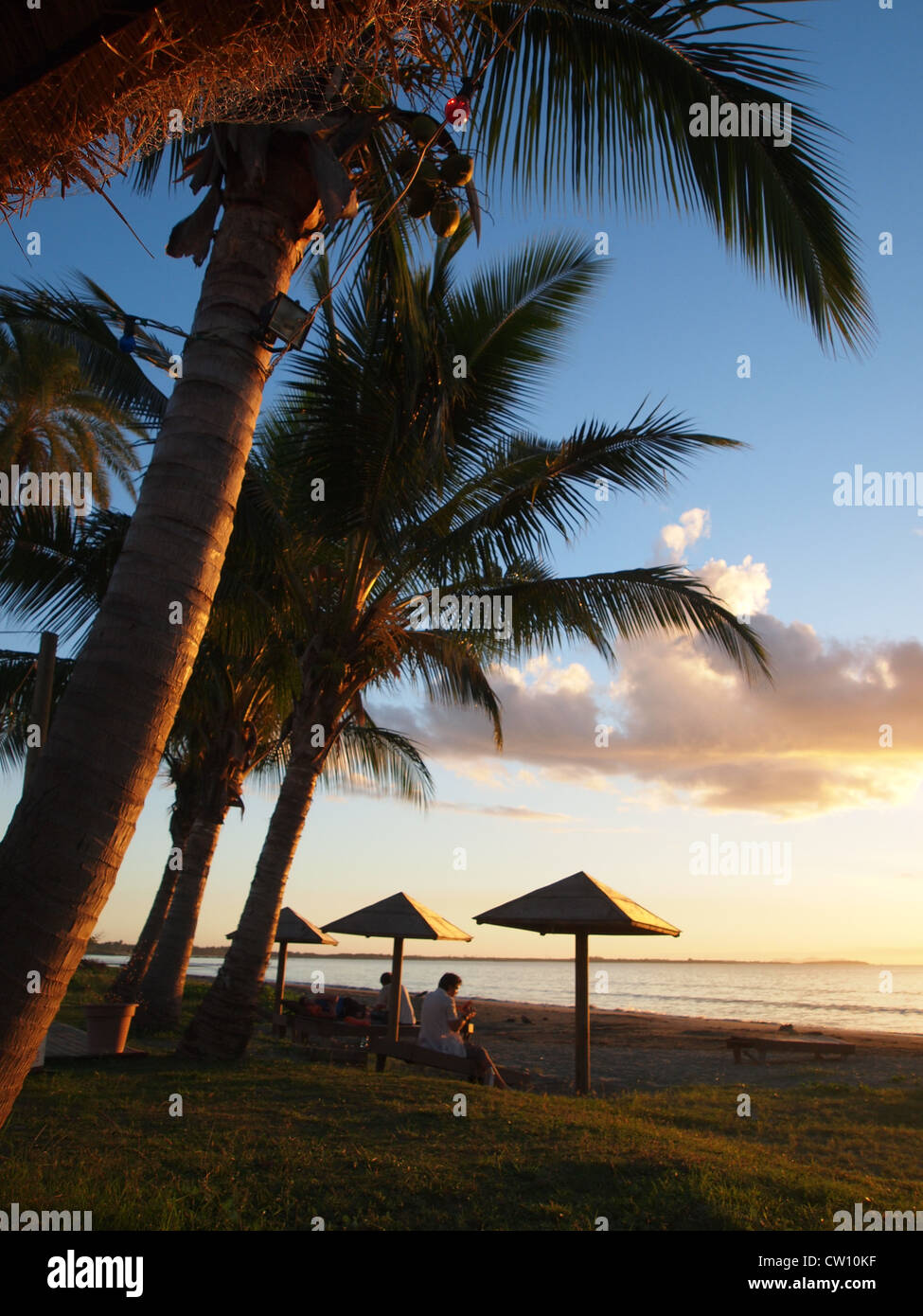 OLYMPUS DIGITAL CAMERA , Palm trees and shade in Fiji. Stock Photo