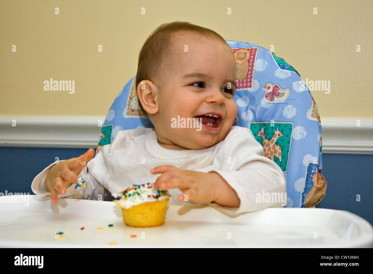 One Year Old Baby Boy Eating Cupcake for the First Time on His Birthday Stock Photo