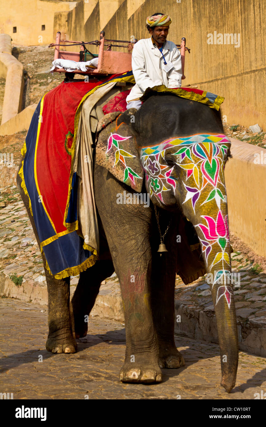 Elephant manhout hi-res stock photography and images - Alamy