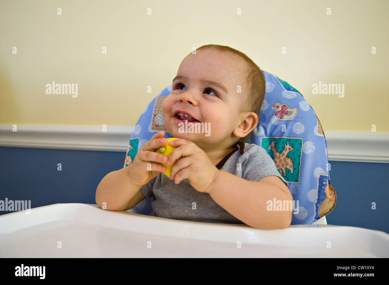 One Year Old Old Baby Boy Sitting In Highchair And Holding Lemon