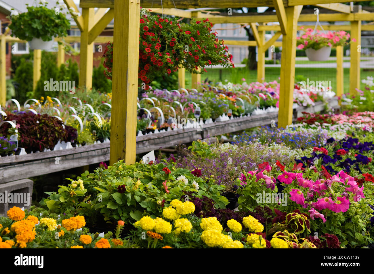 Plants and Flowers for Sale at Flower Shop in Buckner, Kentucky Stock