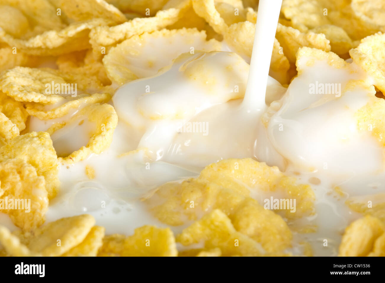 milk pouring on a nutritious and delicious corn flake cereal Stock Photo