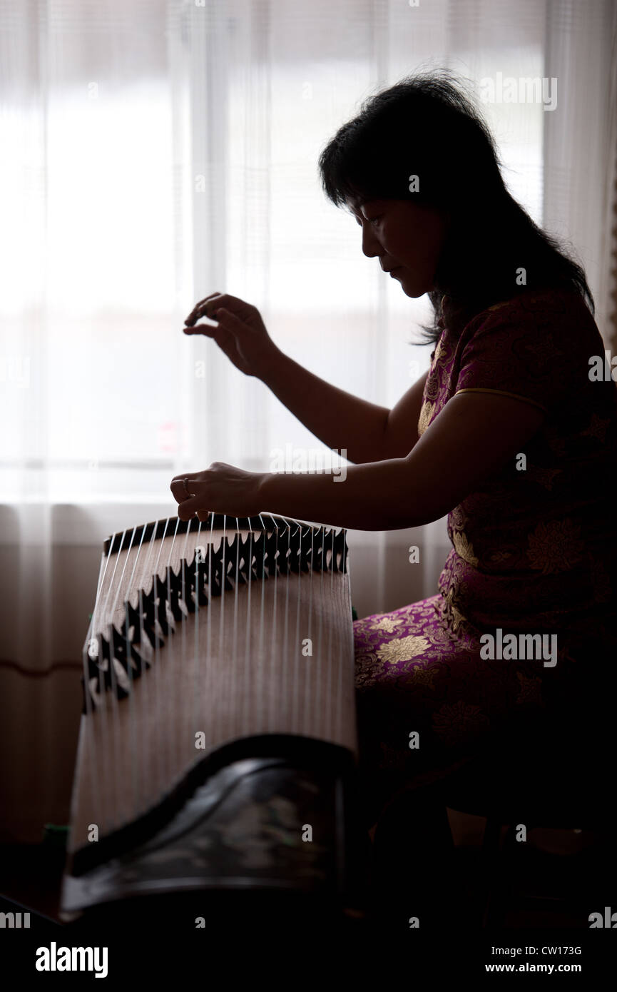 Musician playing traditional Chinese Guzheng Stock Photo Alamy