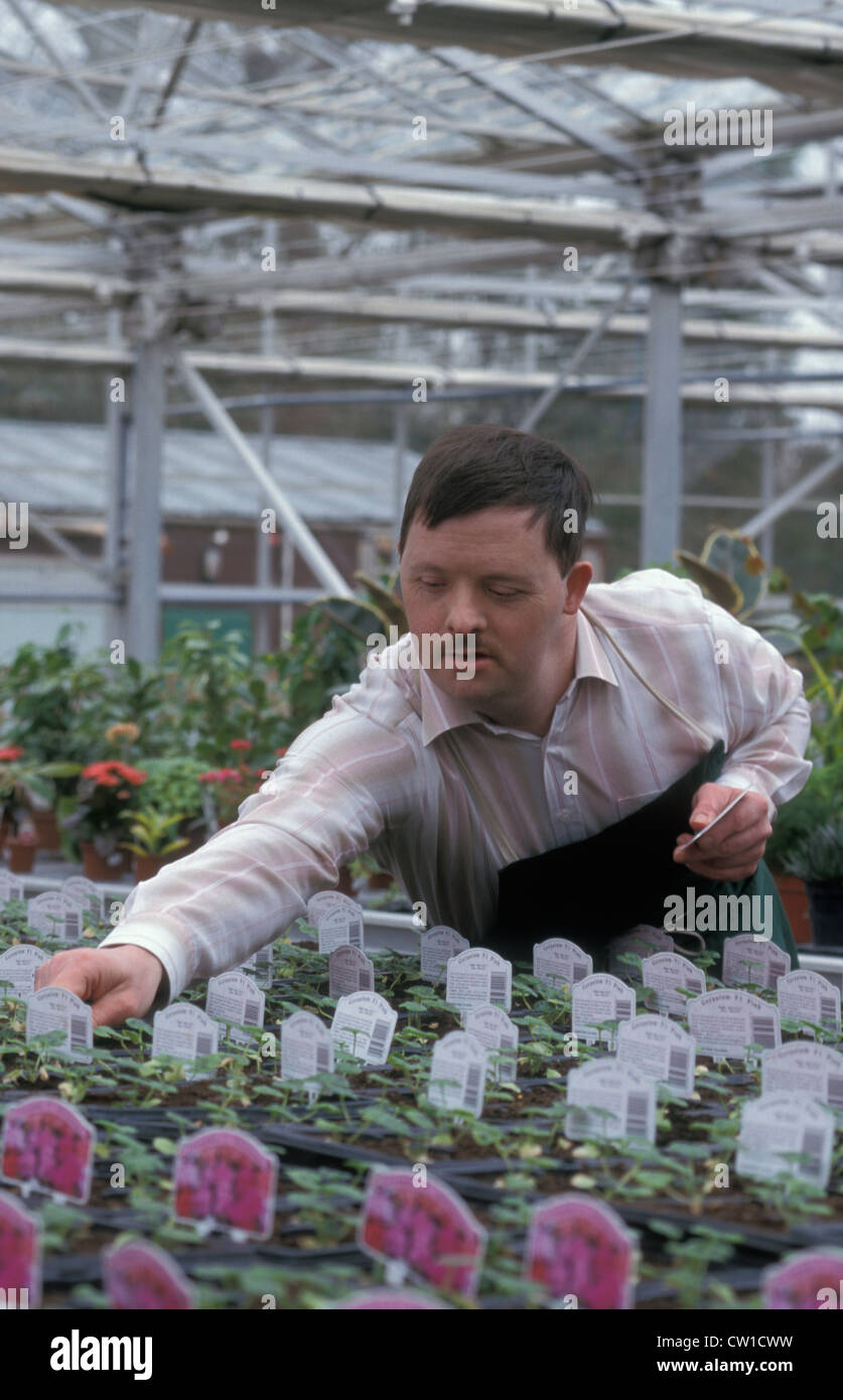 man with downs syndrome working in garden centre Stock Photo