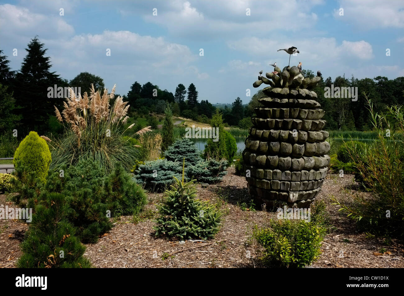 bedgebury national and forest goudhurst kent uk 2012 Stock