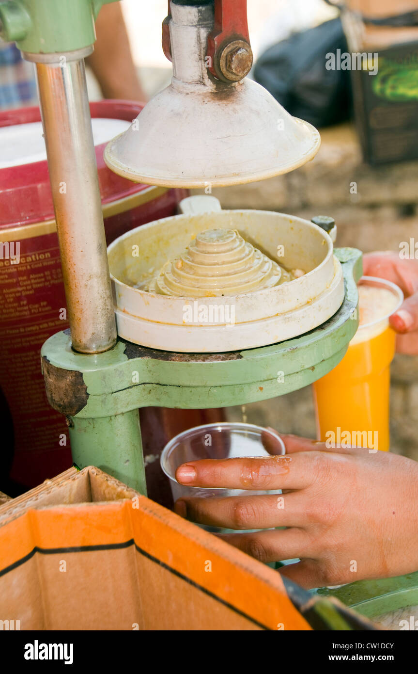 old fashioned juicer press