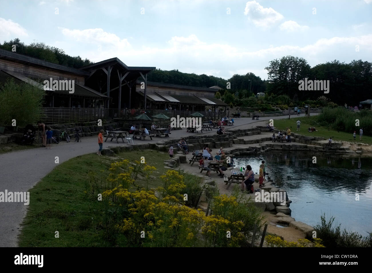bedgebury national and forest goudhurst kent uk 2012 Stock