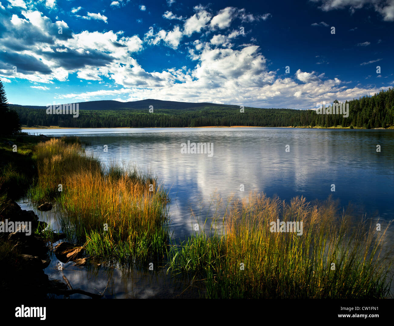 Lee Valley Lake sparkles below the flanks of Mount Baldy. A beautiful