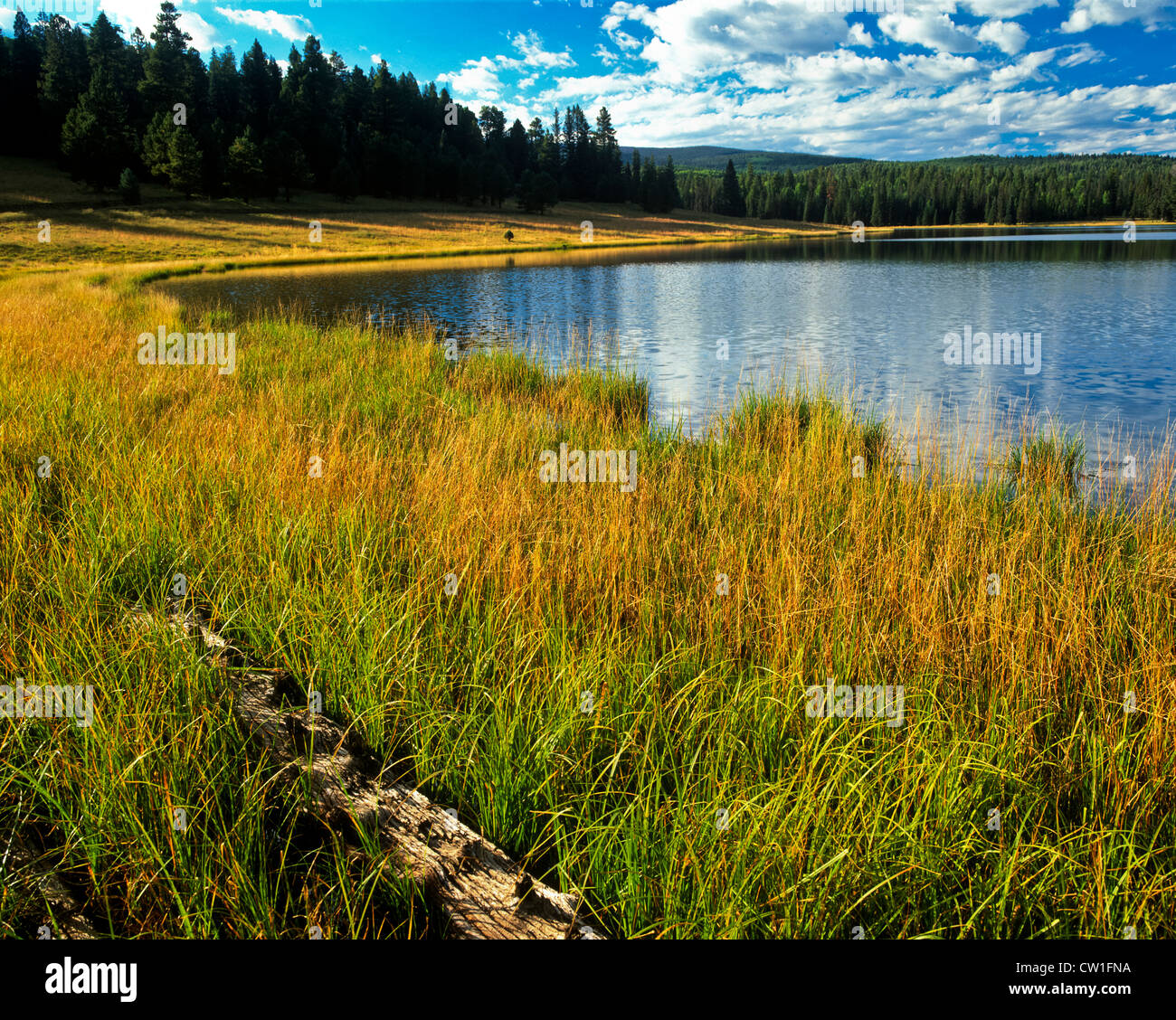 Lee Valley Lake sparkles below the flanks of Mount Baldy. A beautiful