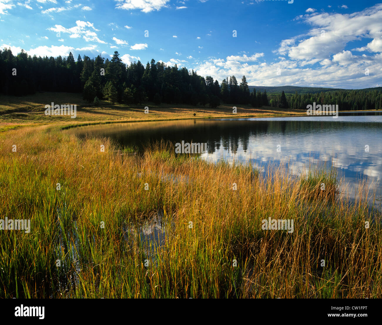Lee Valley Lake sparkles below the flanks of Mount Baldy. A beautiful