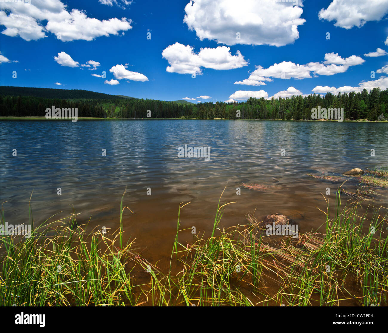 Lee Valley Lake sparkles below the flanks of Mount Baldy. A beautiful