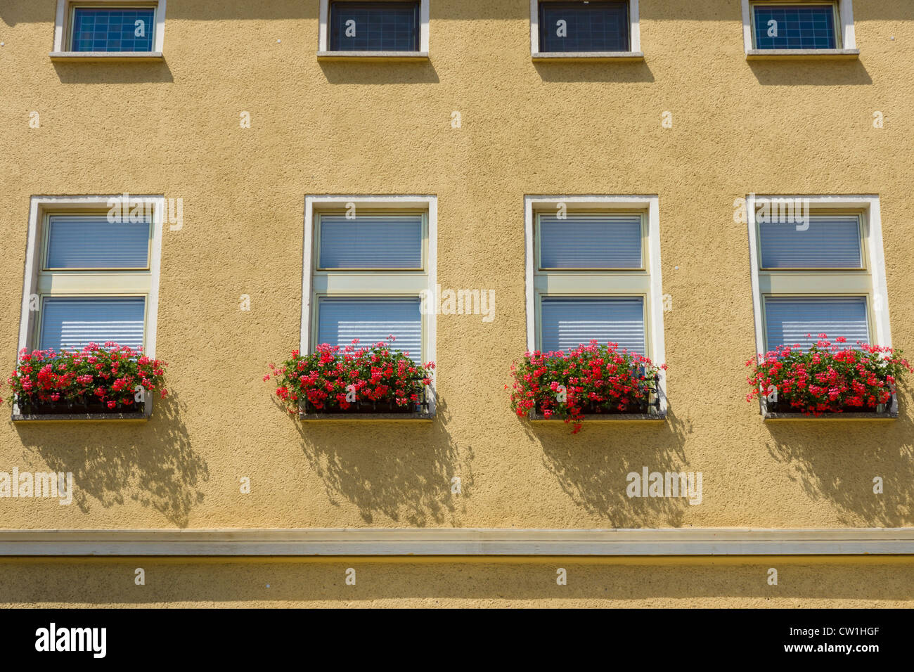 Flowers on the windowsill Stock Photo Alamy