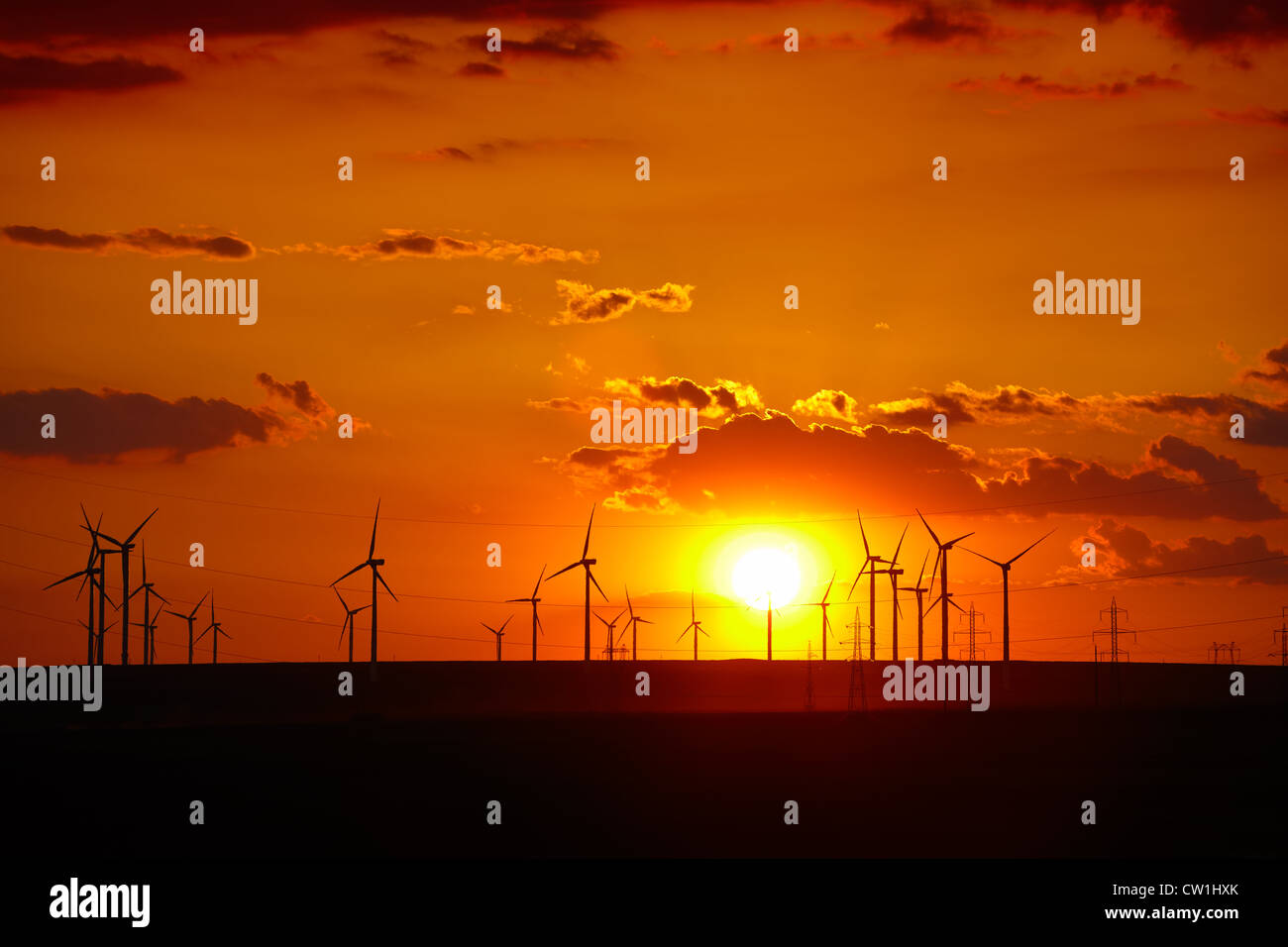Wind turbines farm at sunset in Dobrogea region of Romania. Stock Photo