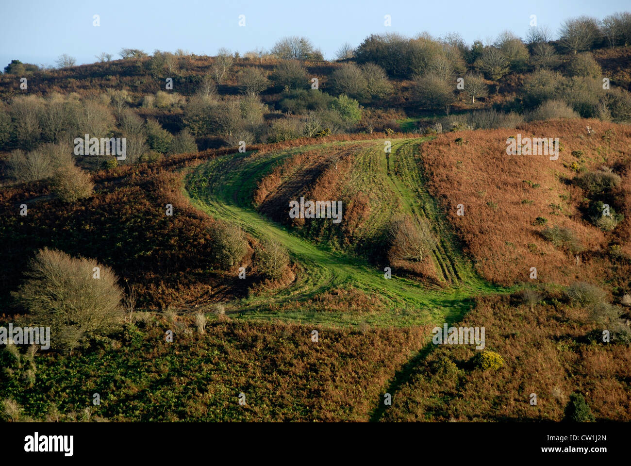 A view of Eype Down Dorset UK Stock Photo