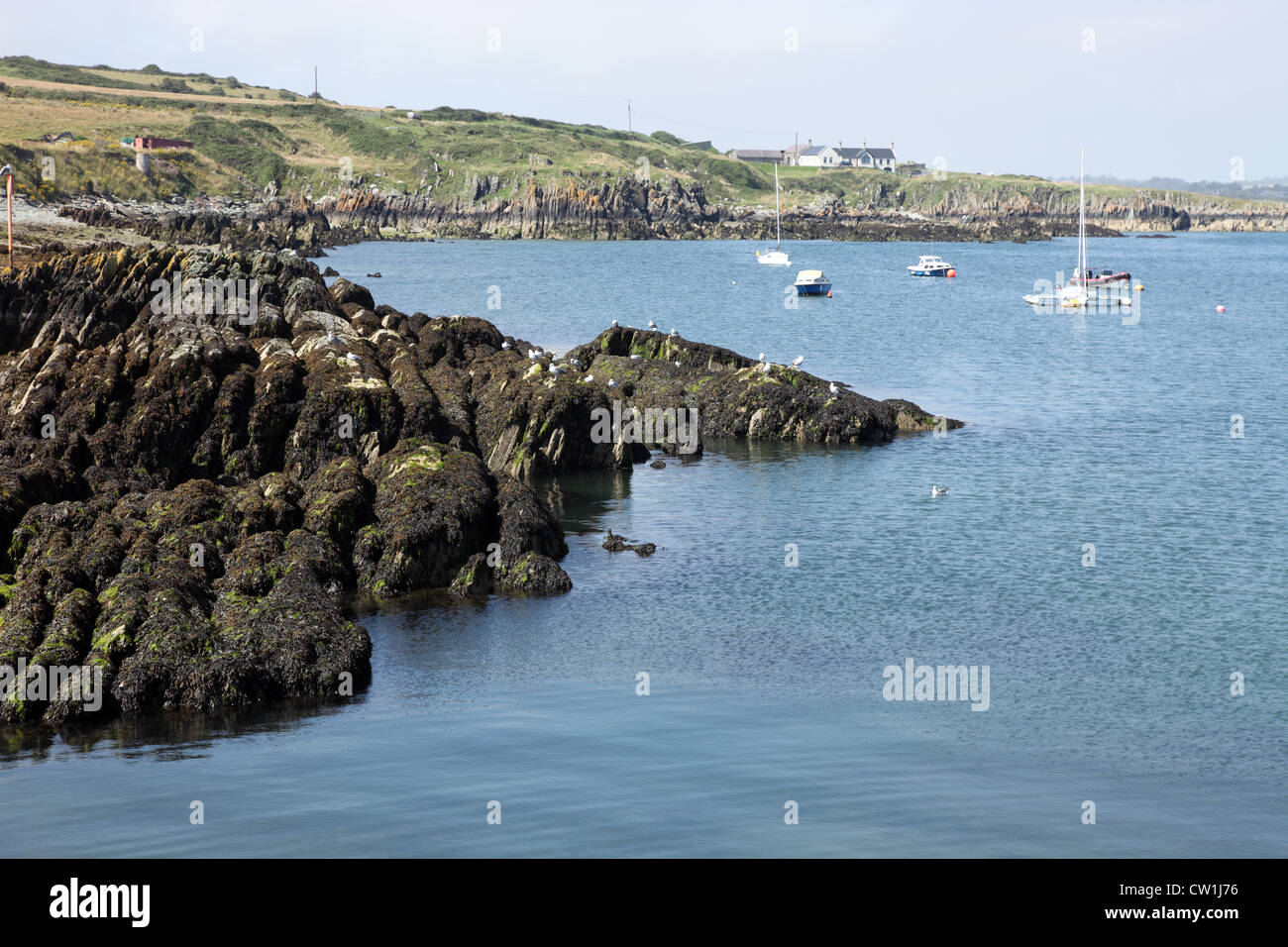 Port oriel hi-res stock photography and images - Alamy