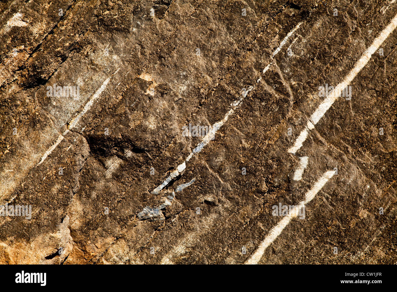 generic mountain side rock texture near Rajasthan India, geology, evolution of granite marbling, stand any orientation Stock Photo