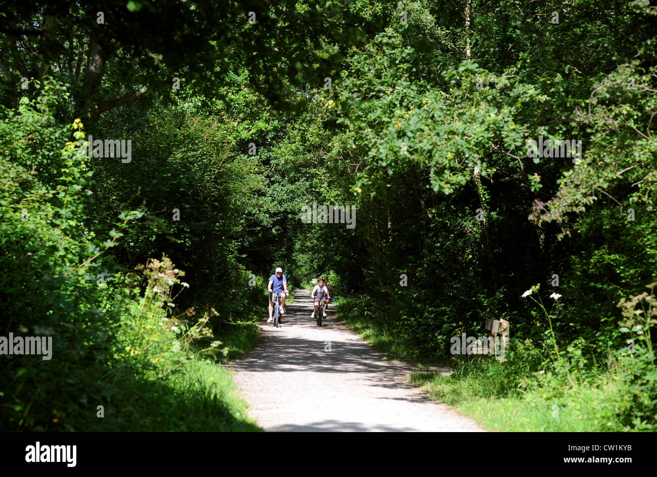 Southwater Country Park and Watersports activity centre near Horsham