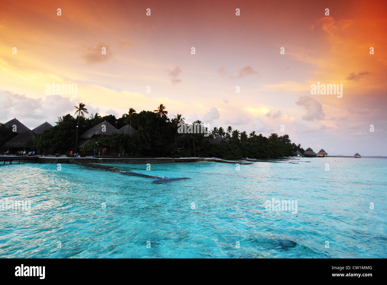 sunset on the sea beach Stock Photo - Alamy