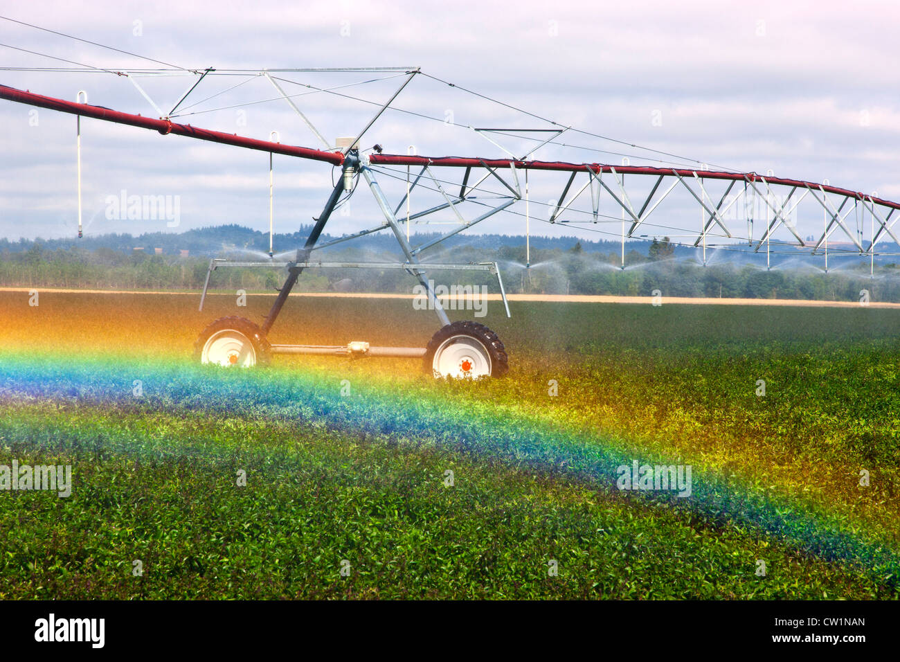 Center pivot irrigating peppermint field, Oregon. Stock Photo