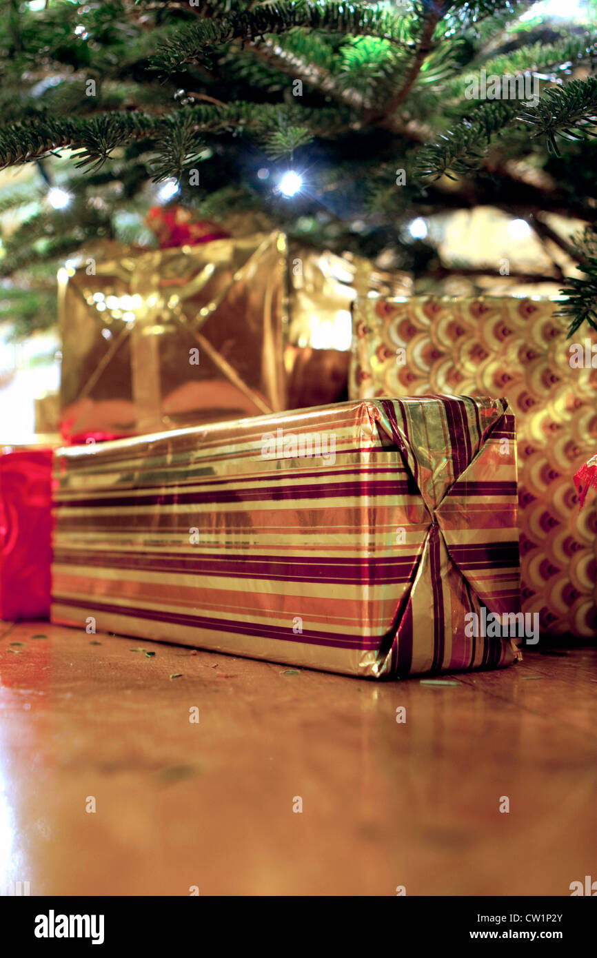 Real christmas tree hires stock photography and images Alamy