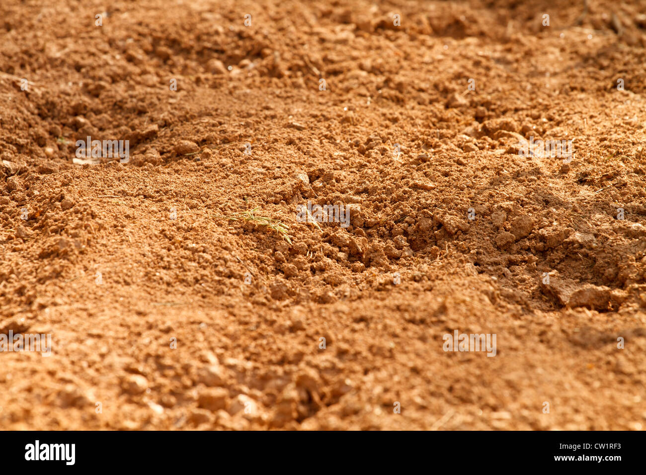 Close-up shot of red clay soil dirt in a farm field in South Carolina. This type of soil is common in the Southeastern USA. Stock Photo