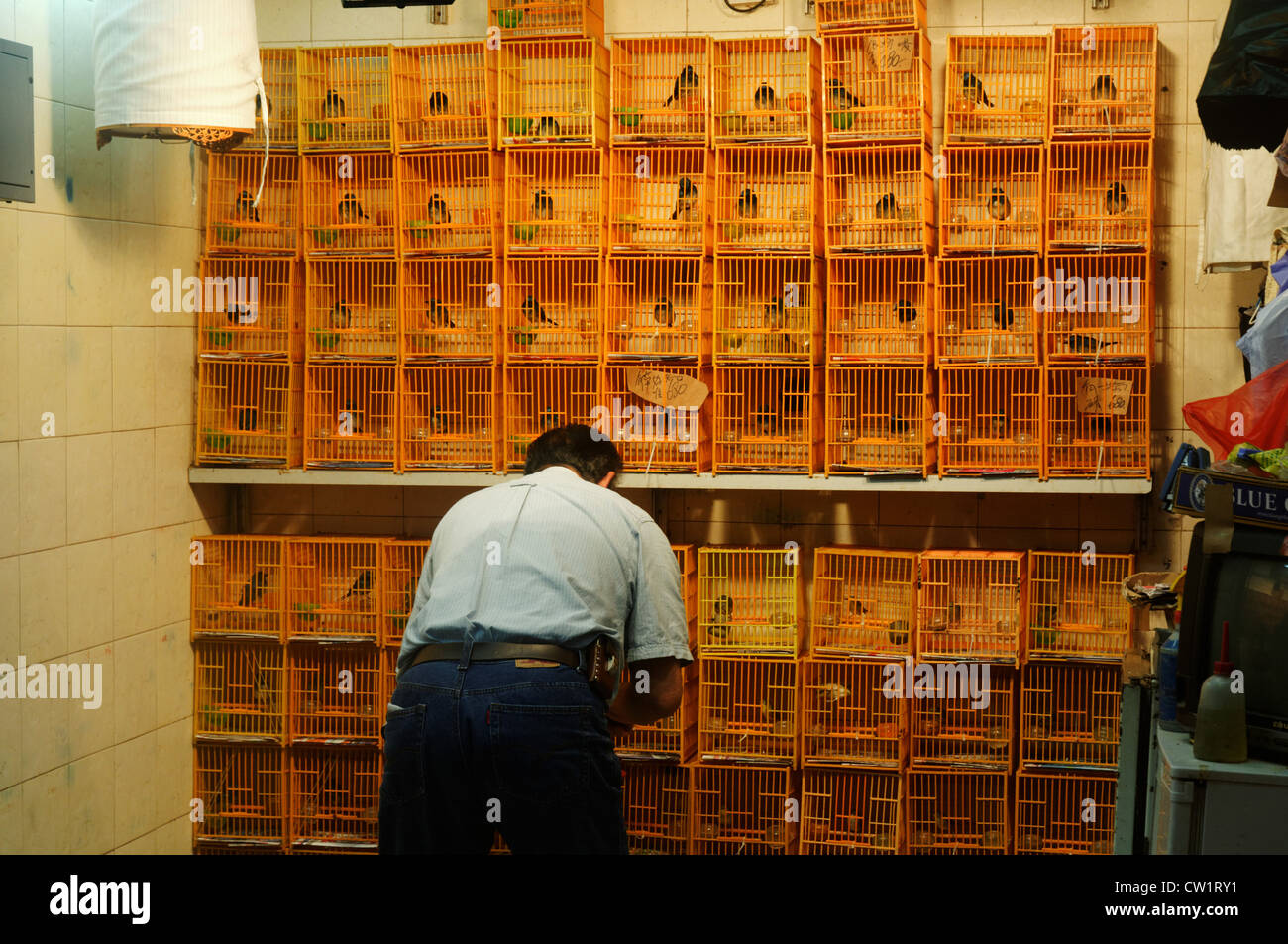 Bird cages in the Hong Kong bird market Stock Photo