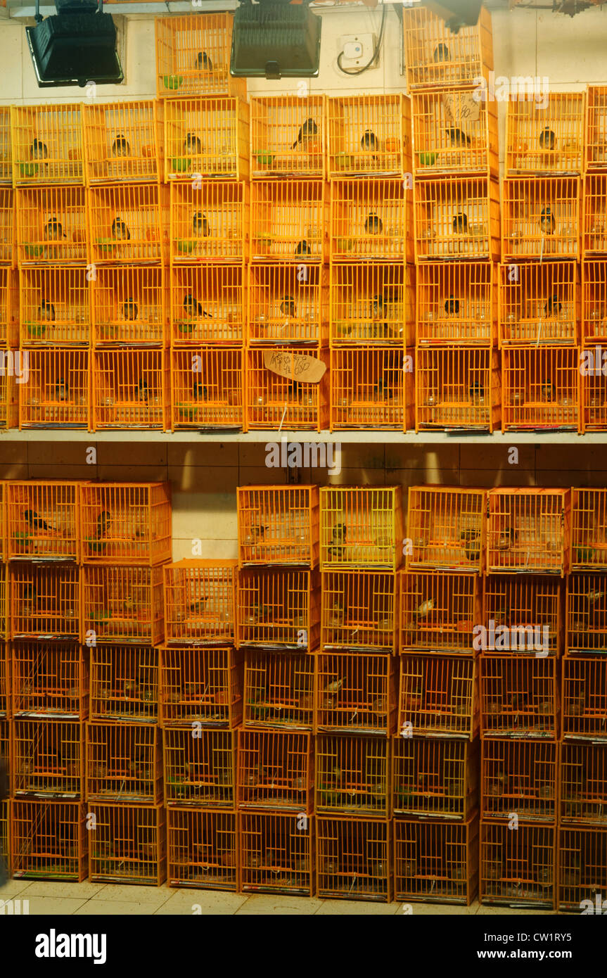 Bird cages in the Hong Kong bird market Stock Photo
