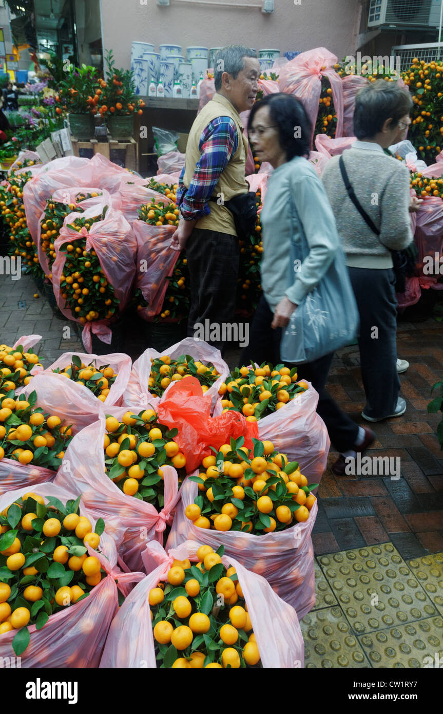 The Hong Kong flower market Stock Photo Alamy