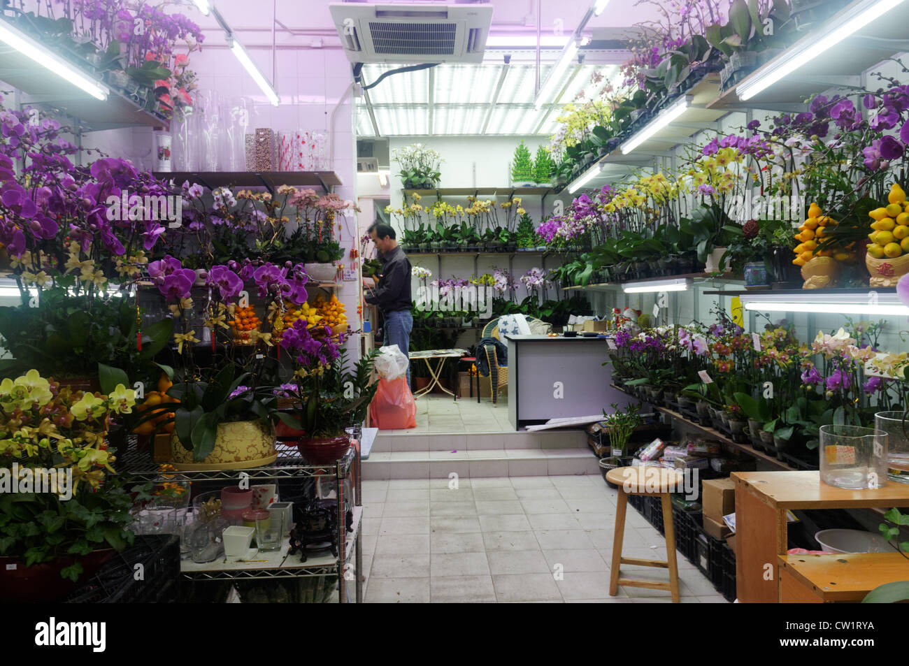 The Hong Kong flower market Stock Photo Alamy