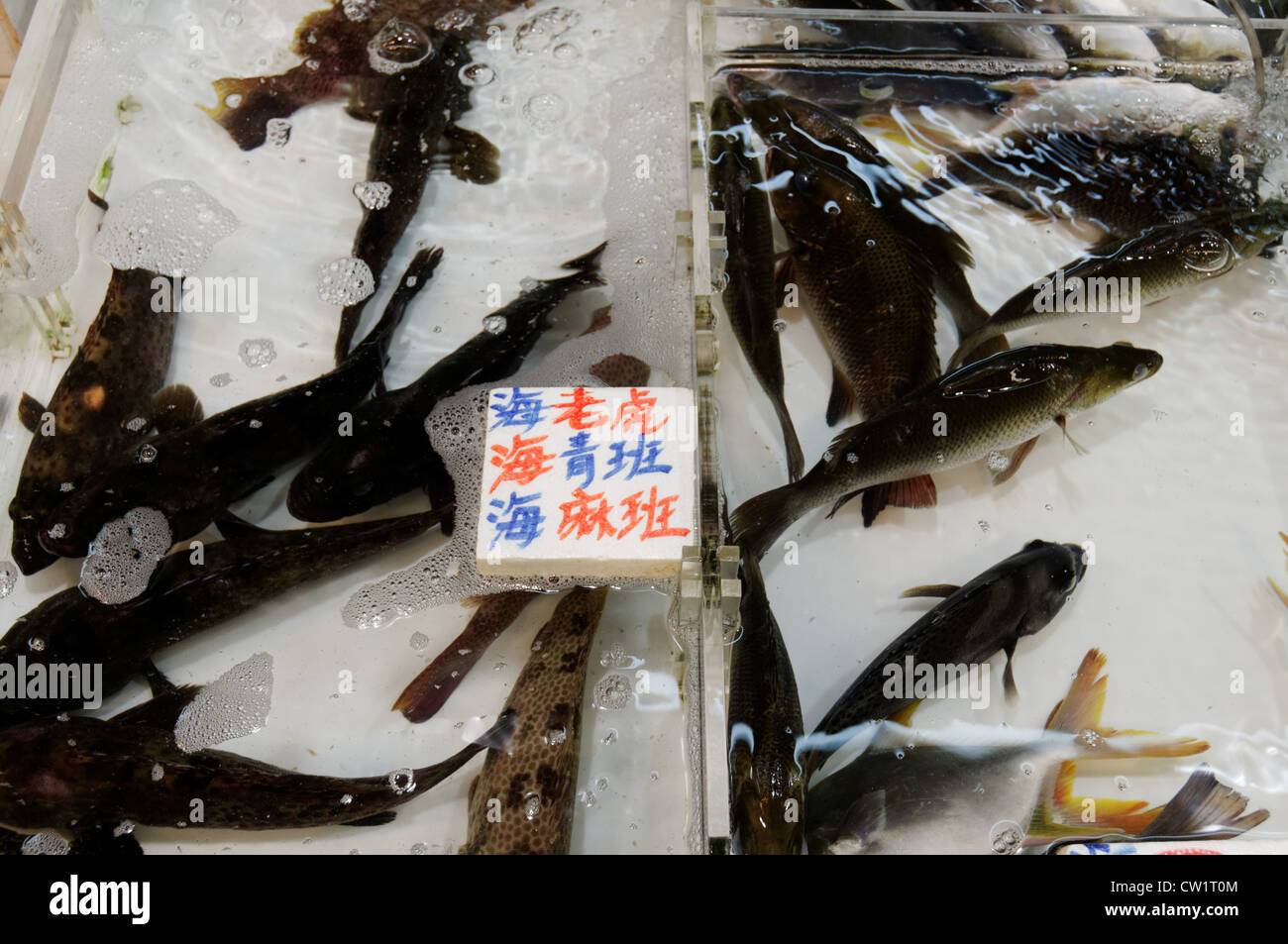 Live fish for sale in a Hong Kong market Stock Photo