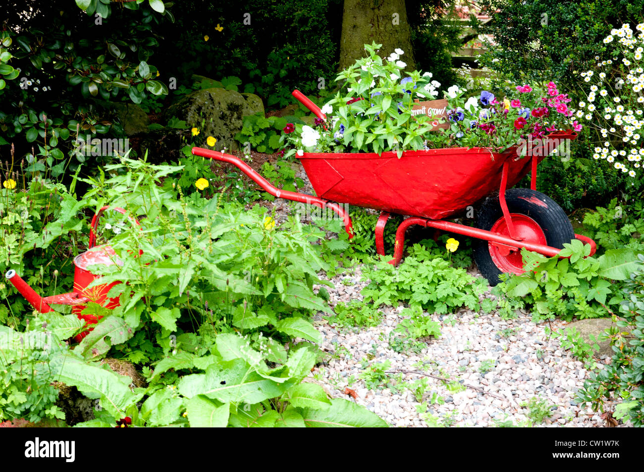 Wheel Barrow and Watering Can Stock Photo Alamy