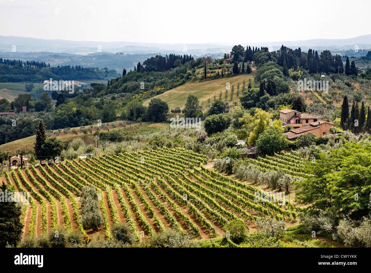Italy, Tuscany, rural landscape Stock Photo