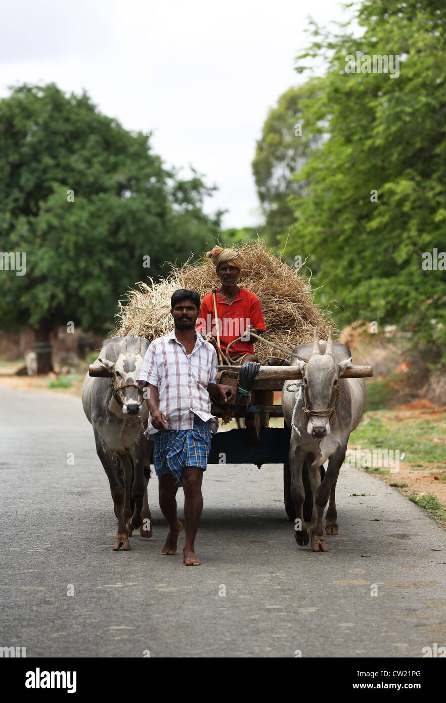 Indian men with bullock cart  Andhra Pradesh South India Stock Photo